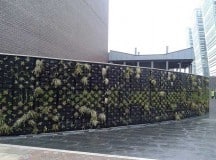 Living walls improve indoor air quality, save energy and add life to your home