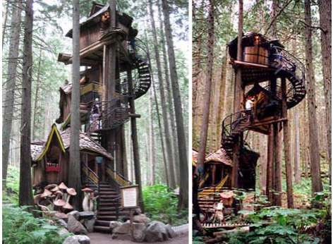 Fairytale forest treehouse British Columbia