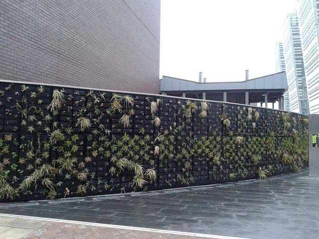 Living wall on building