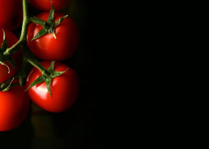 Hydroponic tomatoes