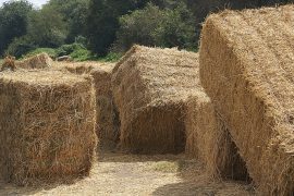 Straw bales on ground - A 2-storey load-bearing straw bale house built by women