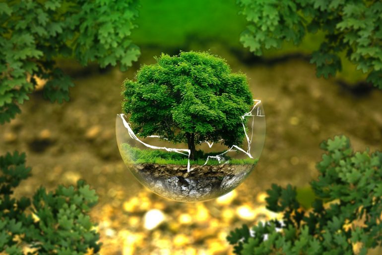 Small tree in cracked circle of glass - 5 traditional practices that are getting in the way of green living