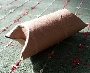 Old toilet paper roll with pet treat inside - 11 ways to make pet toys out of old junk
