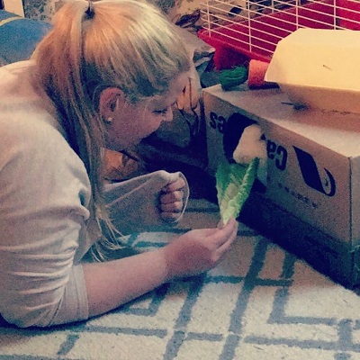 Rabbit nibbling lettuce while in cardboard box fortress - 11 ways to make pet toys out of old junk