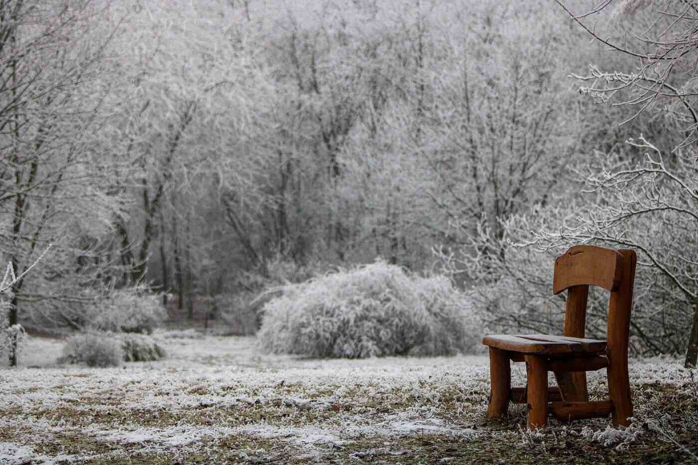 wooden chair on frosty ground - reasons why environmentalists choose wooden furniture