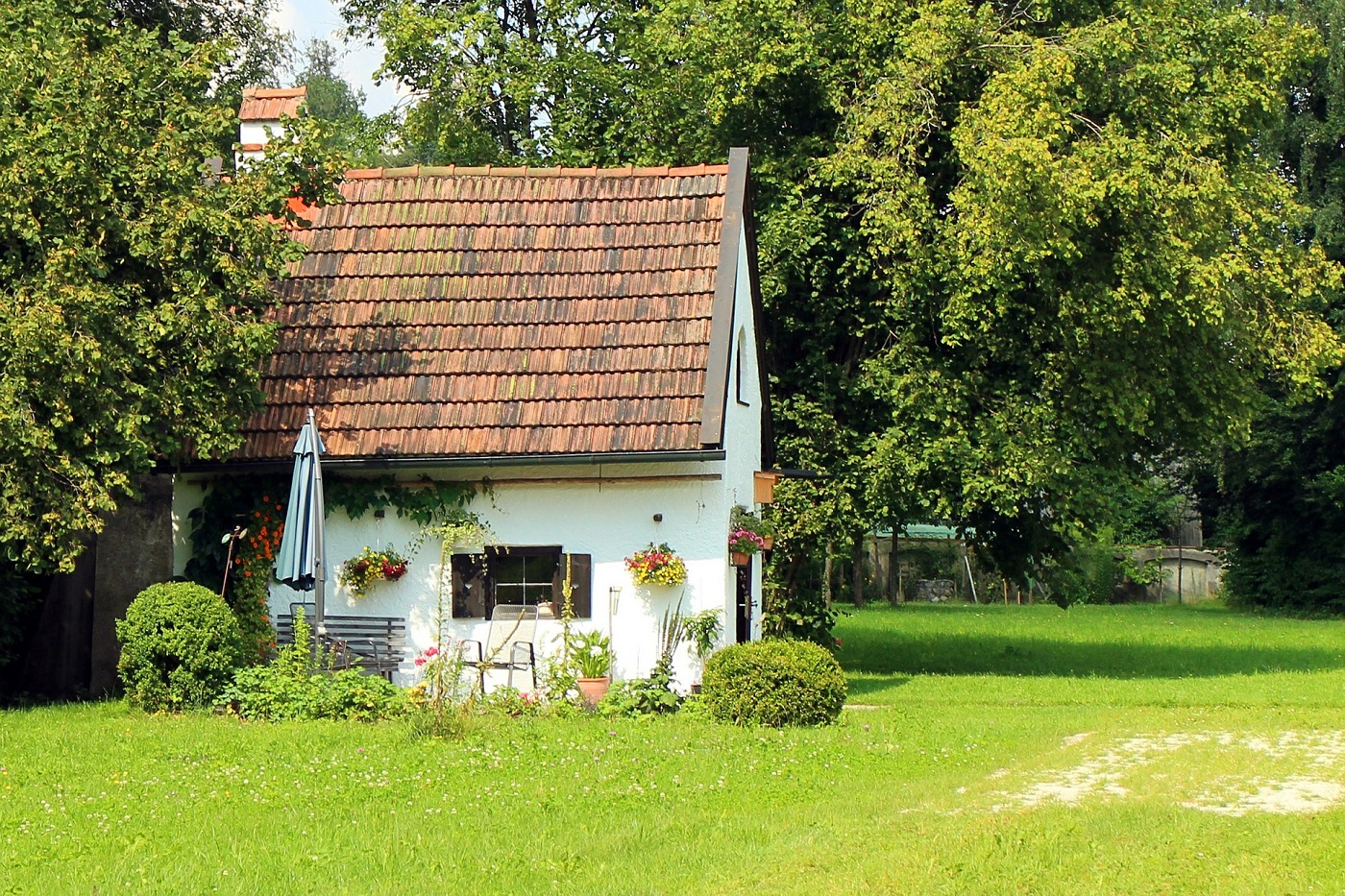 5 Steps to Creating the Perfect Garden Shed