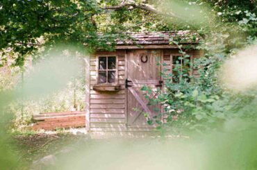 wooden shed under tree - 5 steps to creating the perfect garden shed