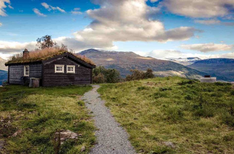 cabin with green roof - the basics of living off the grid