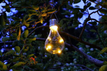 lightbulb in tree - using solar lights at home