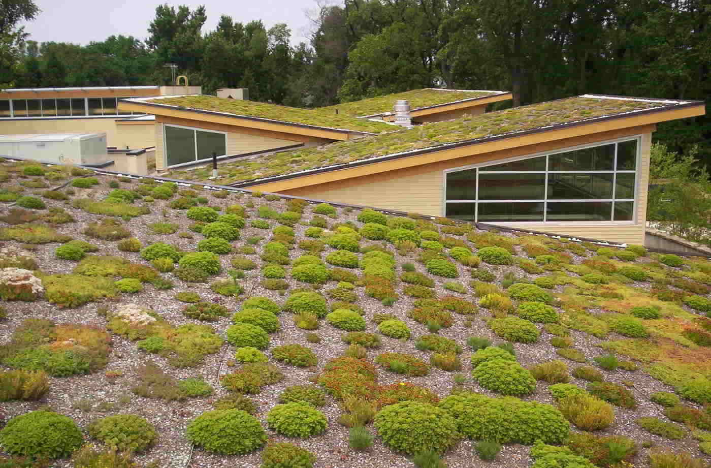 living roof - green roofing and siding trends