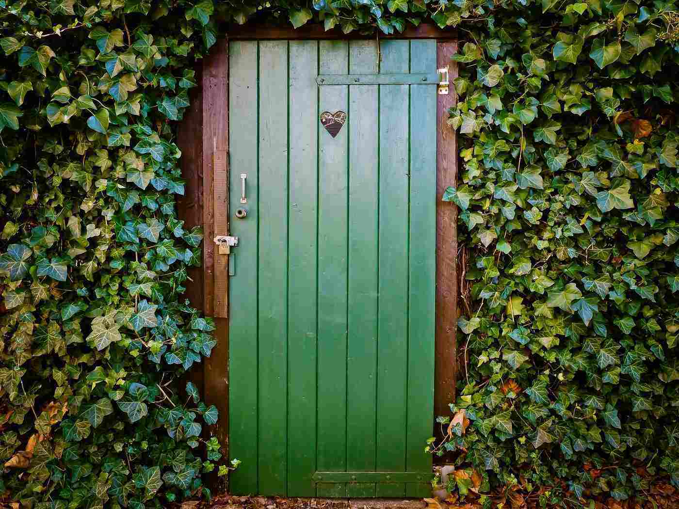 green door surrounded by plants - upgrades for green living