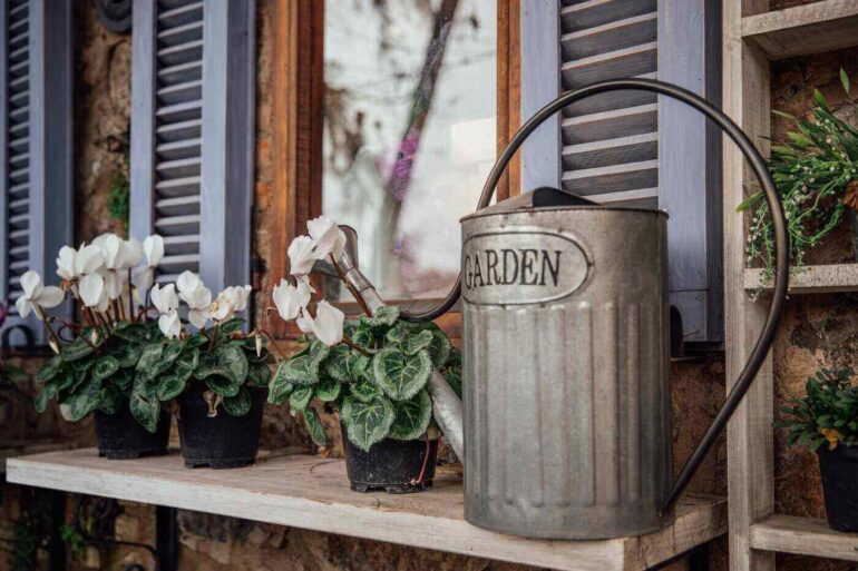 tin watering can on shelf with flowers - ways to conserve water and recycle it in your garden