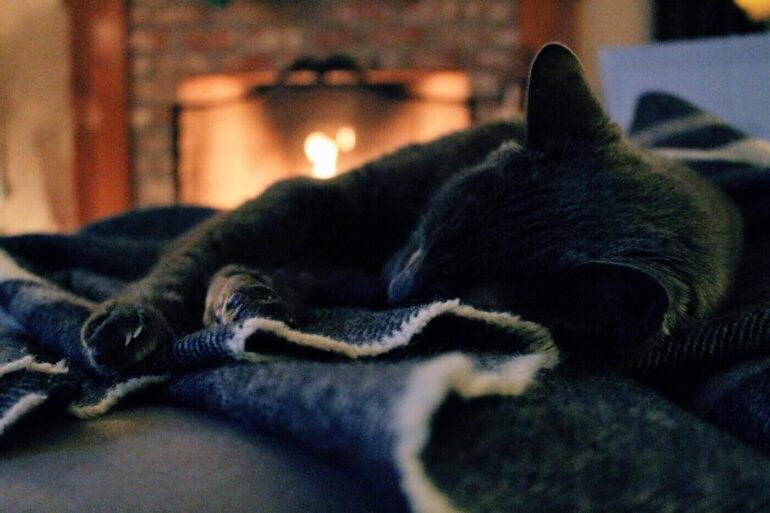 cat on blanket in front of fireplace - fill your home with light and warmth this winter