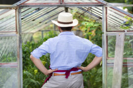 Gardener - ways to make your greenhouse more eco-friendly