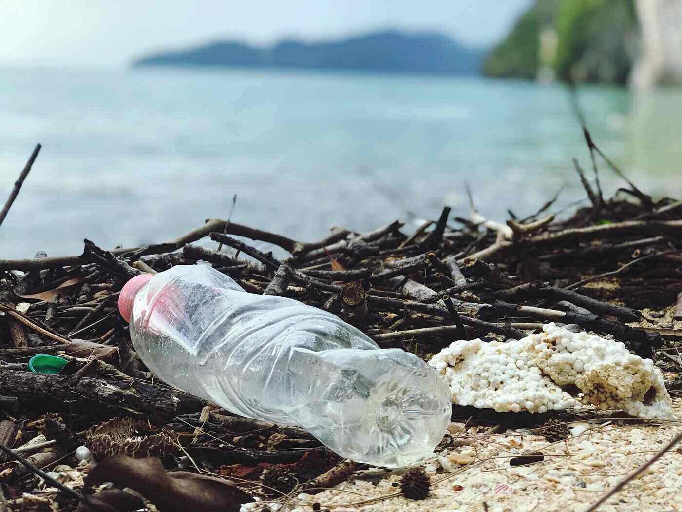 plastic water bottle on beach - green living 101