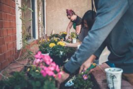 people gardening - how to start a communal garden