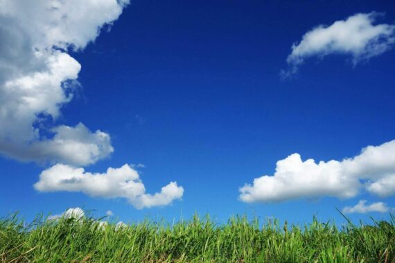 grass under blue sky with clouds - 4 big ways to live green