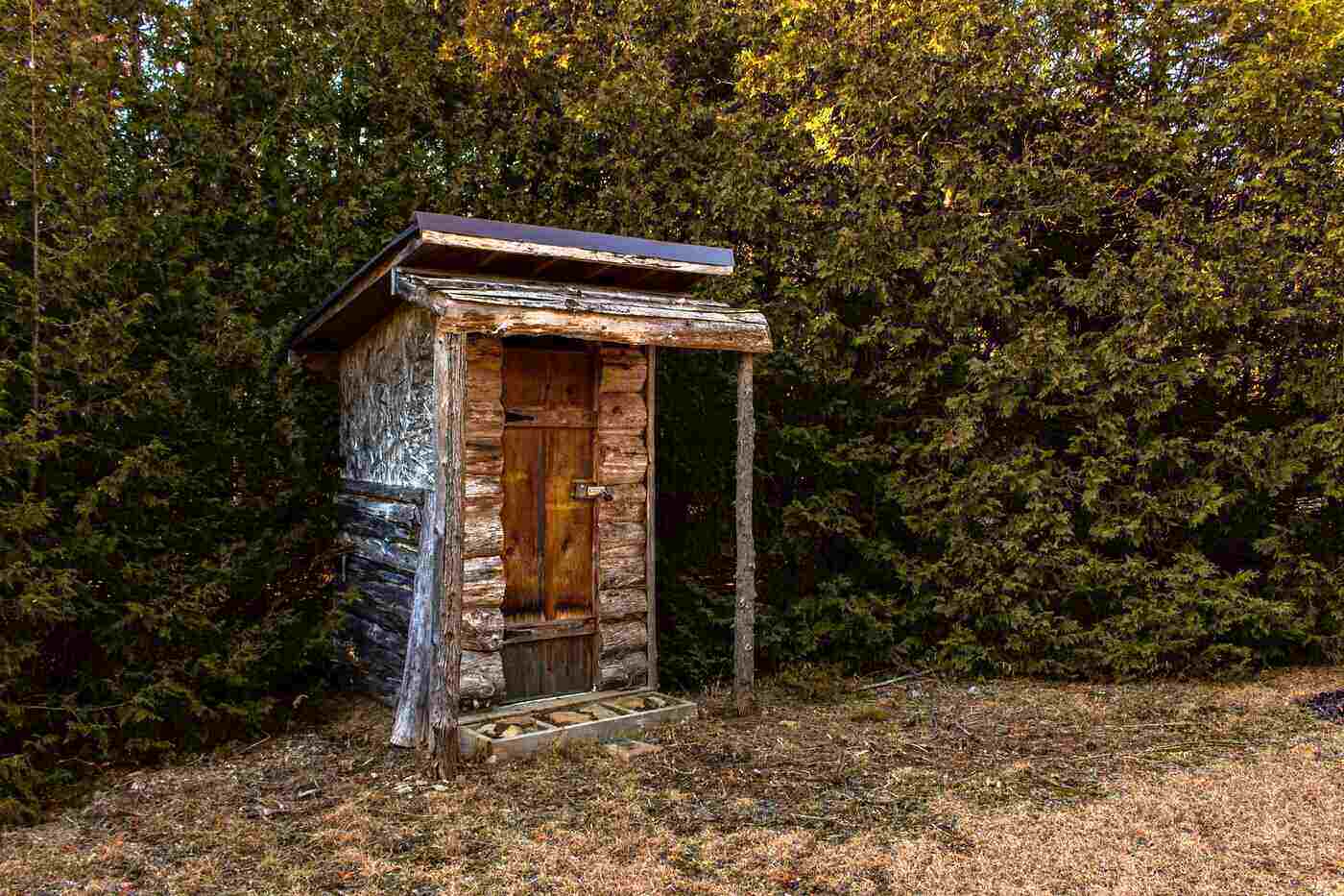 wooden outhouse by cedar trees - how to build a diy composting toilet