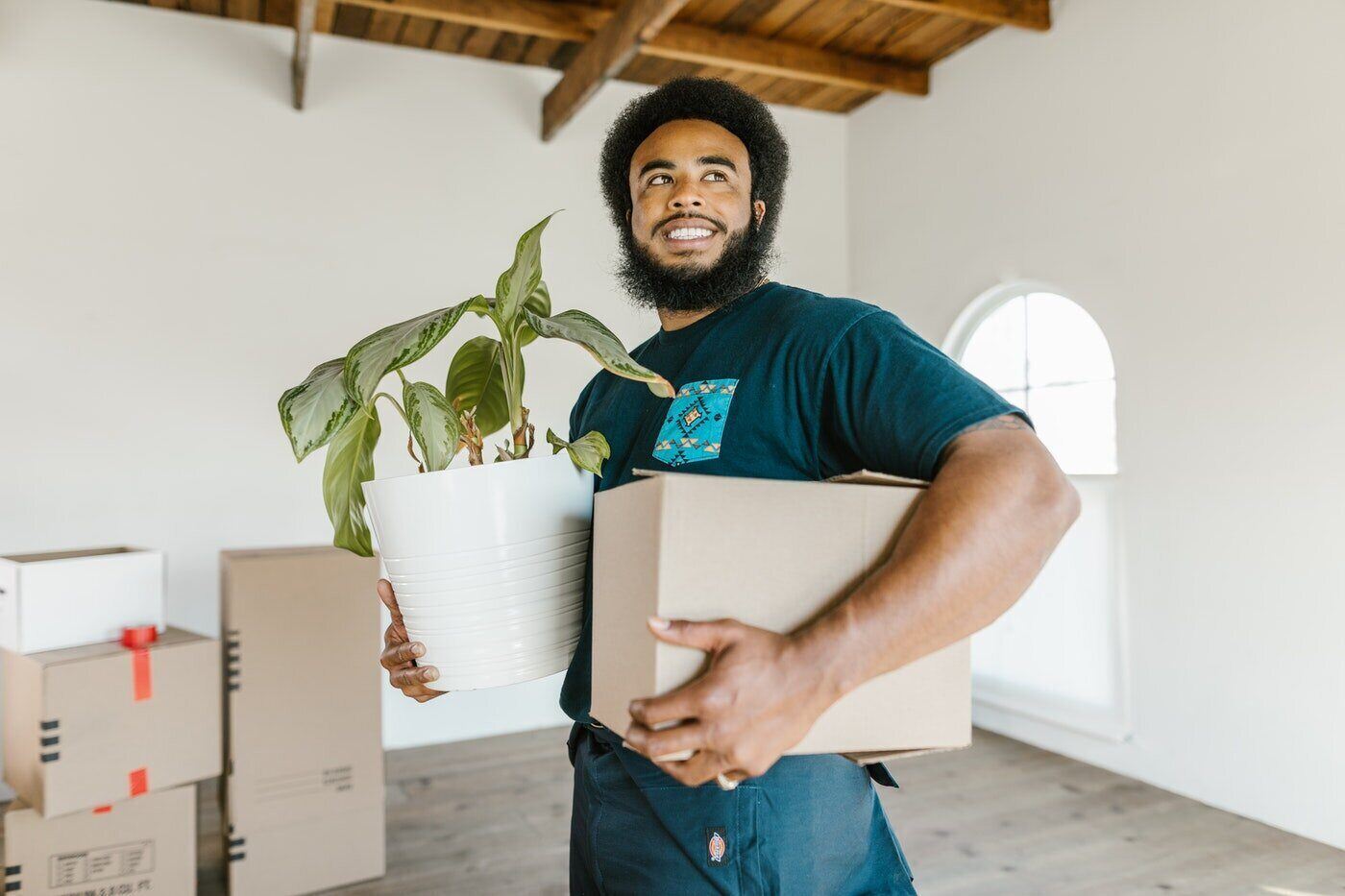 mover holding box and houseplant - 7 moving tips for transporting houseplants safely