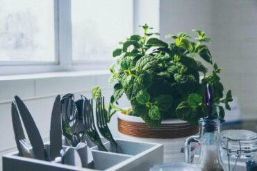 mint growing by sink with utensils drying - 3 tips to keep your kitchen green on a budget