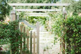 overgrown garden gate - spring clean your garden