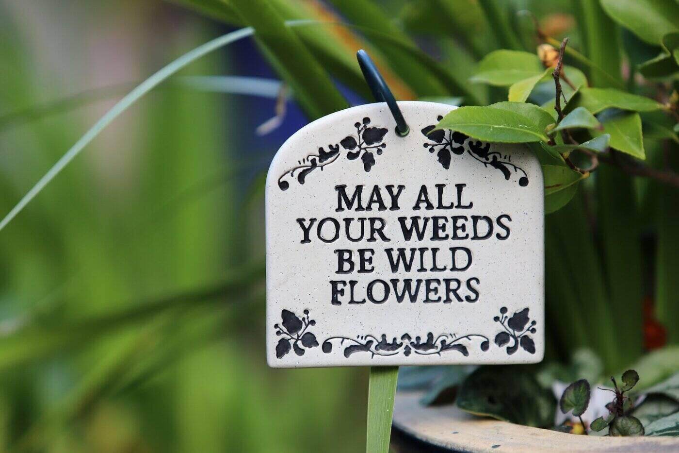 sign saying may all your weeds be wildflowers - spring clean your garden