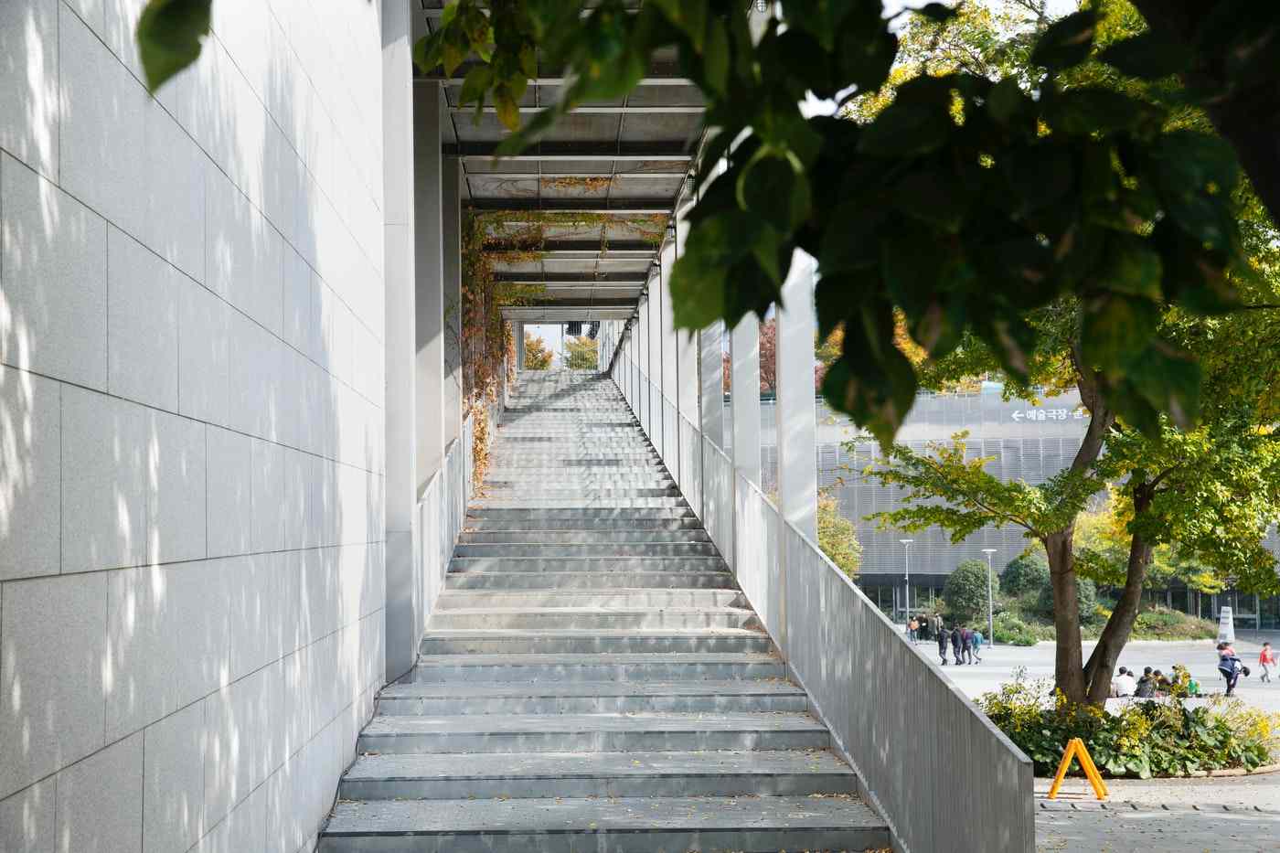 concrete stairs by tree - how to reduce embodied carbon in construction