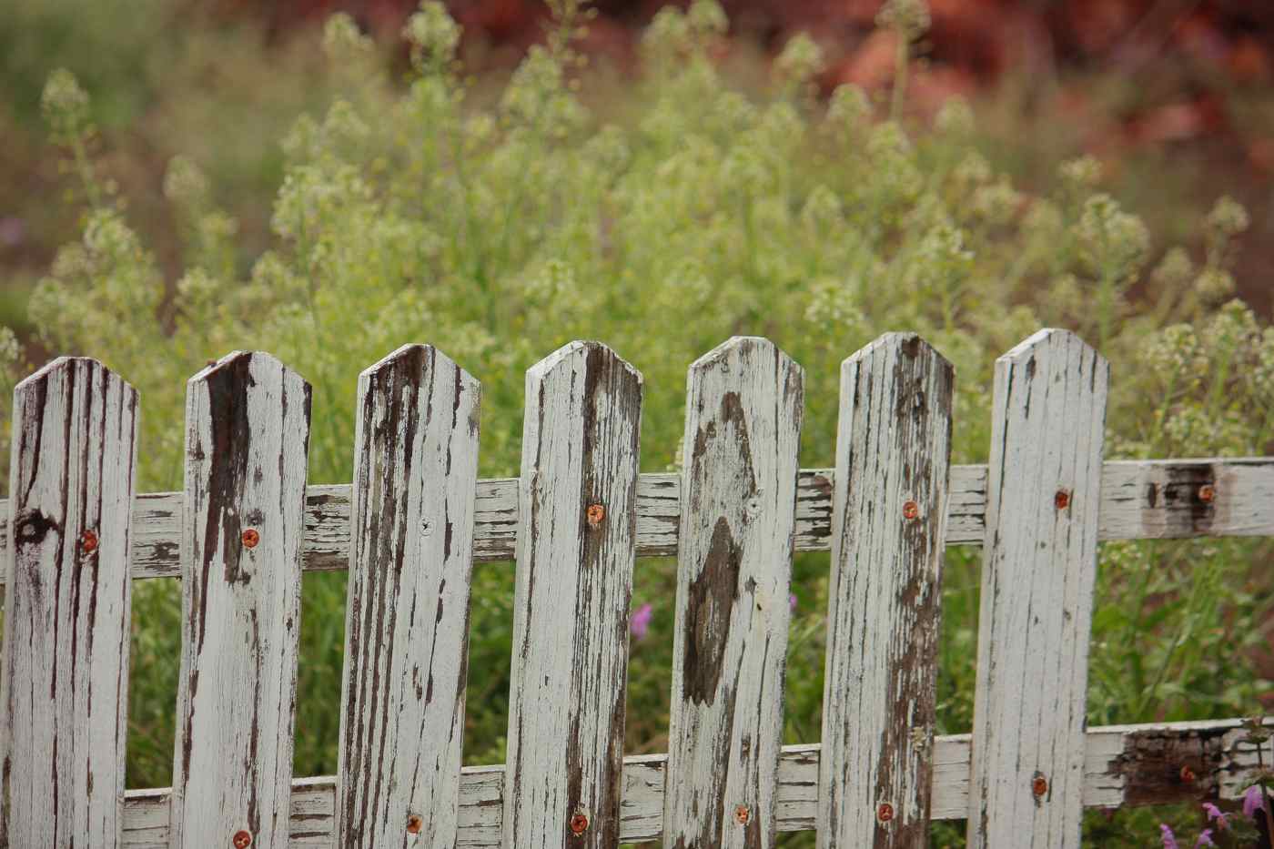 picket fence with missing board - how to protect your wood fence from rotting